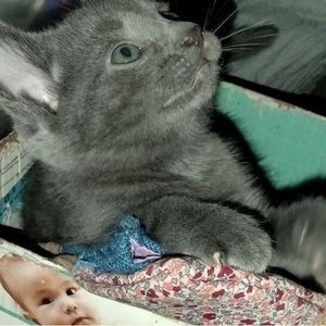 Meet your Posher, Leah